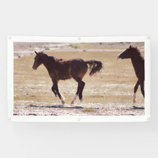 WILD PFERDE VON UTAH Banner W/GROMMETS
