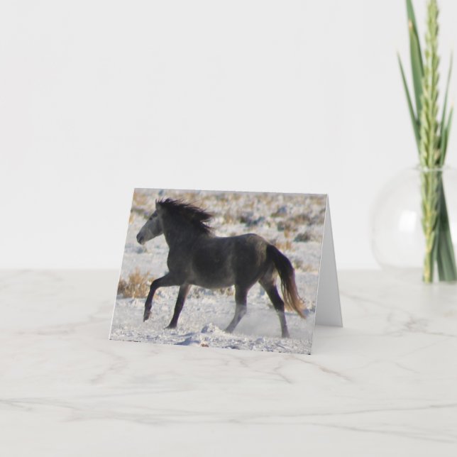 WILD PFERDE VON UTAH GRAY MUSTANG IN SNOW Card Karte (Vorderseite)