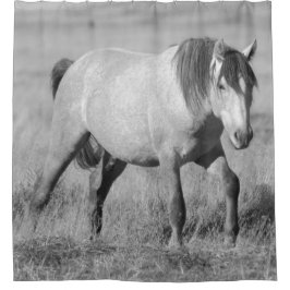 WILD PFERDE VON UTAH GRAY STALLION SHOWER CURTAIN DUSCHVORHANG