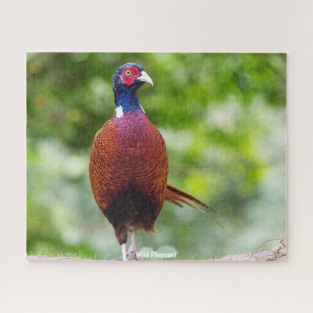 Wild Pheasant Puzzle (Horizontal)