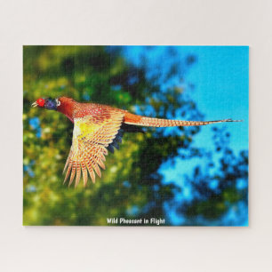 Wild Pheasant Puzzle