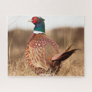 Wild Pheasant Puzzle