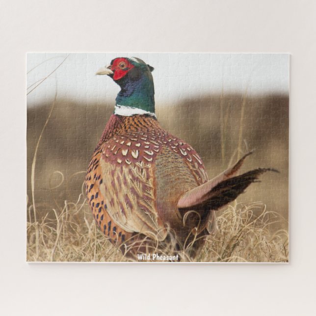 Wild Pheasant Puzzle (Horizontal)