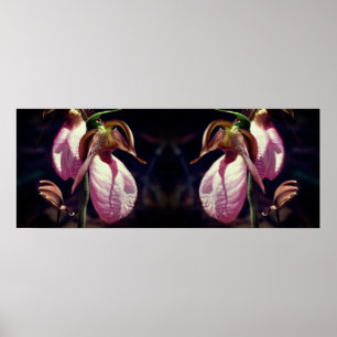 Wild Pink Lady Slipper Orchid Pair Mirror Poster