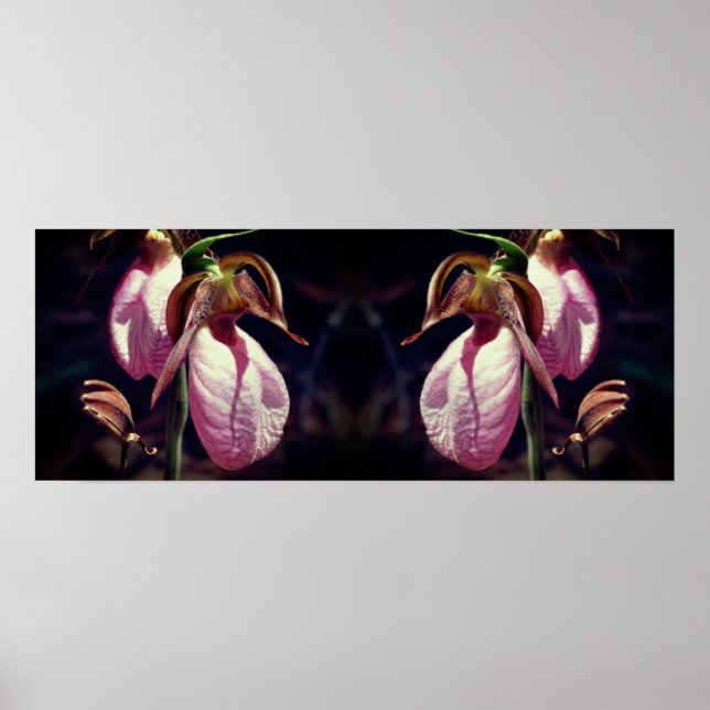 Wild Pink Lady Slipper Orchid Pair Mirror Poster (Vorne)