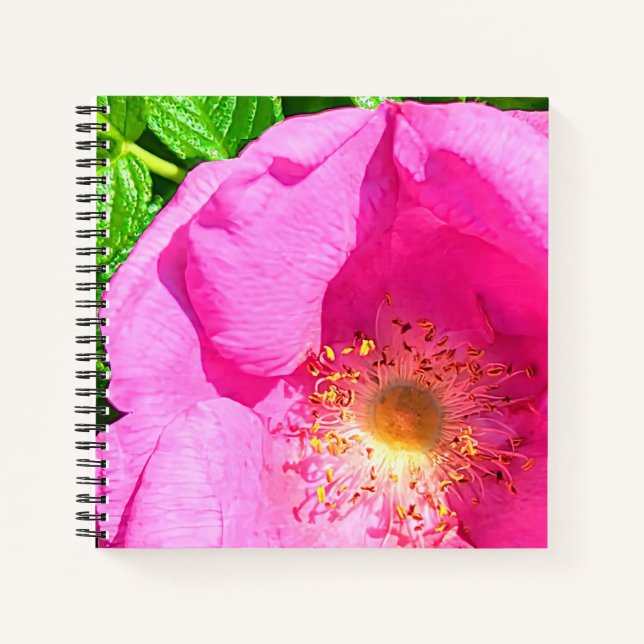 Wild Pink Rose Foto Vertrauen in die Lord Bible Ve Notizbuch (Vorderseite)