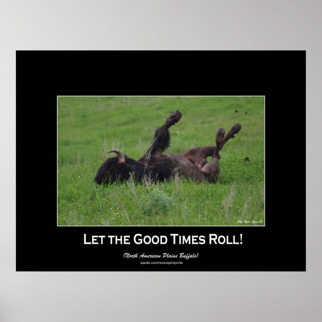 Wild Plains Bufffalo Rolling Wildlife (klein) Poster (Vorne)