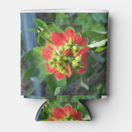 Wild Poinsettia Dosenkühler