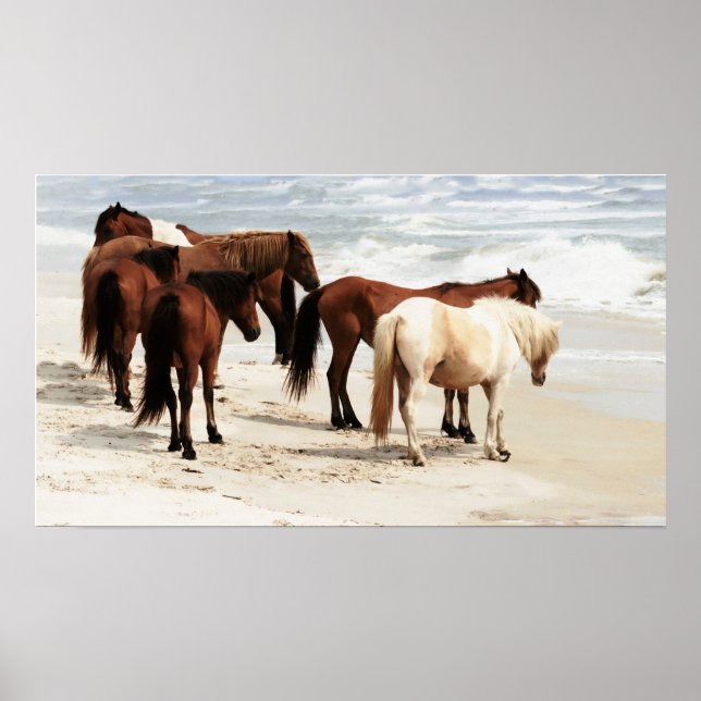 Wild Ponies Poster (Vorne)