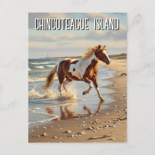 Wild Pony in Chincoteague Island Virginia Travel Postkarte