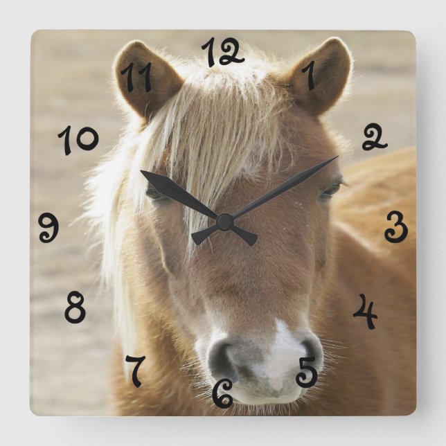 Wild Pony Quadratische Wanduhr (Vorderseite)