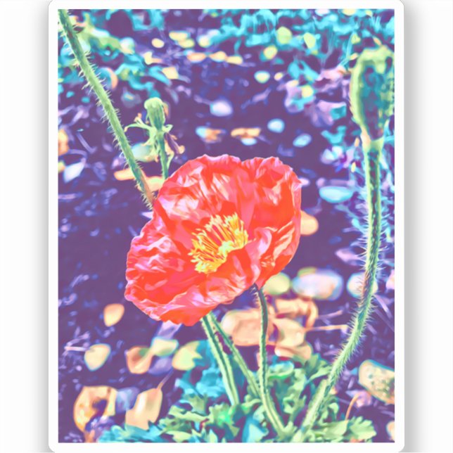 Wild Poppies Vinyl Sticker (Vorderseite)