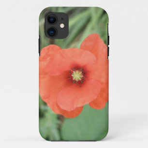 Wild Poppy Blume iPhone Case