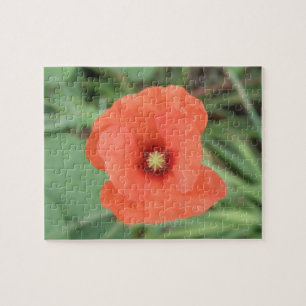 Wild Poppy Blume Puzzle