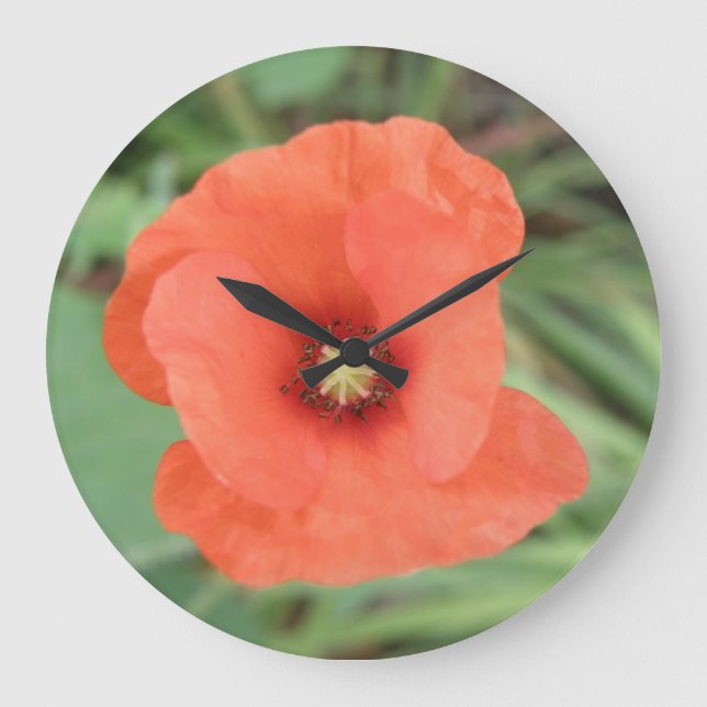Wild-Poppy-Blume-Uhr Große Wanduhr (Vorderseite)