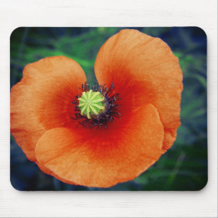 Wild Poppy Macro Fotografy Mousepad