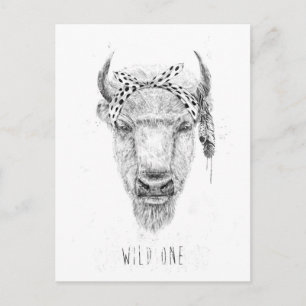 Wild Postkarte