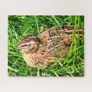 Wild Quail Puzzle