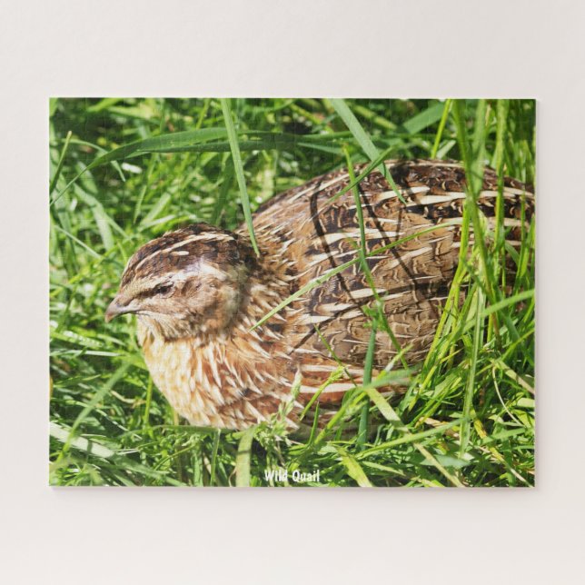 Wild Quail Puzzle (Horizontal)