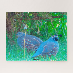 Wild Quail Puzzle