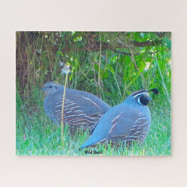 Wild Quail Puzzle (Horizontal)
