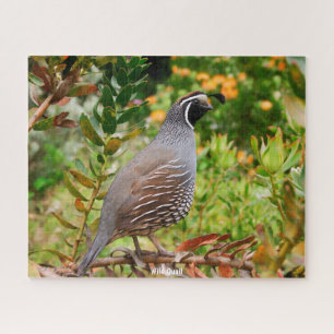 Wild Quail Puzzle