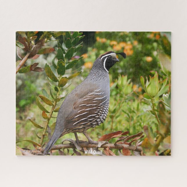Wild Quail Puzzle (Horizontal)