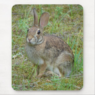Wild-Rabbit-Cottontail Apparel and Gifts Mousepad