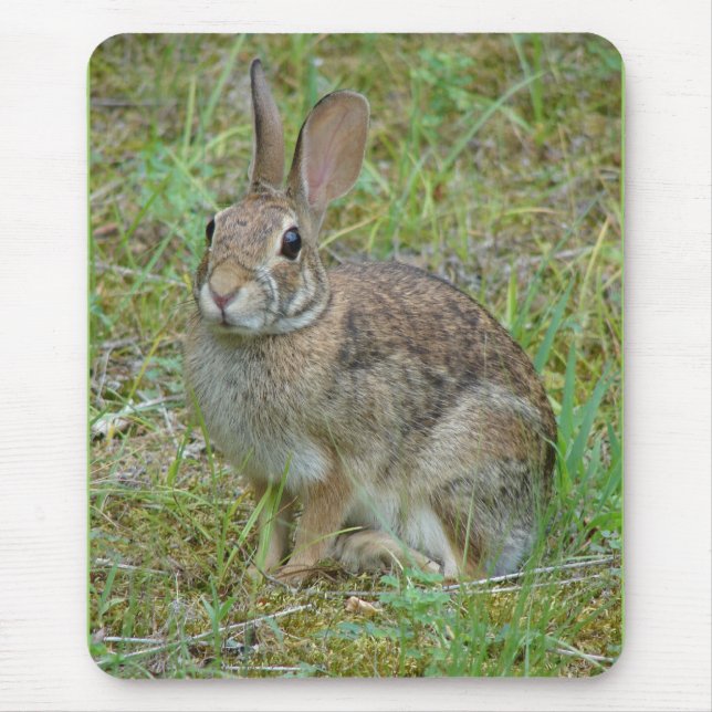 Wild-Rabbit-Cottontail Apparel and Gifts Mousepad (Vorne)