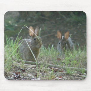 Wild Rabbits Östliches Baumwollschwanzkaninchen Pa Mousepad