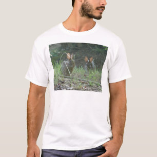 Wild Rabbits Östliches Baumwollschwanzkaninchen Pa T-Shirt