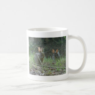 Wild Rabbits Östliches Baumwollschwanzkaninchen Pa Tasse