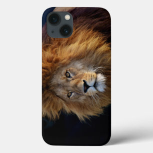 Wild Raubtier Löwe mit Mane Case-Mate iPhone Hülle
