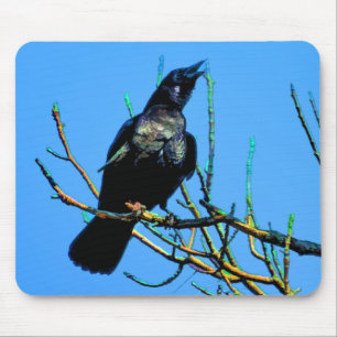 Wild Raven und Branches Wildlife Foto Geschenke Mousepad
