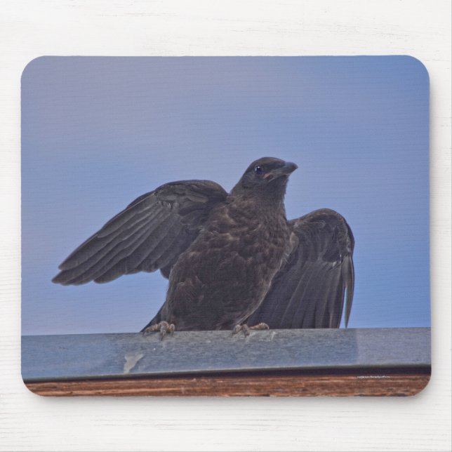 Wild Raven und Roof Wildlife Foto Gift Mousepad (Vorne)