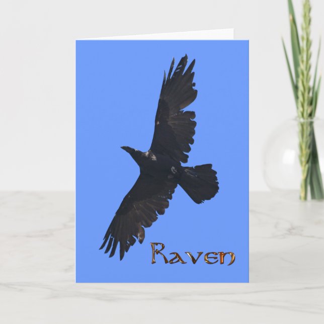 Wild Raven Wildlife Foto Geschenk Dankeskarte (Vorderseite)