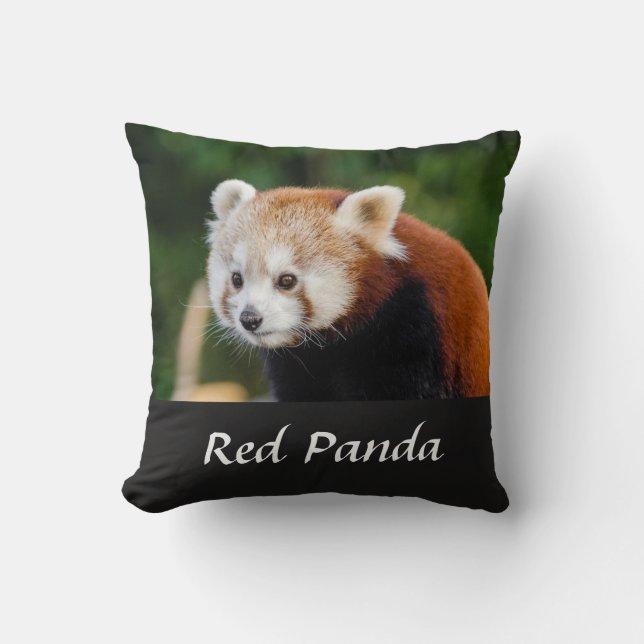 Wild Red Panda Nature Foto Kissen (Vorderseite)