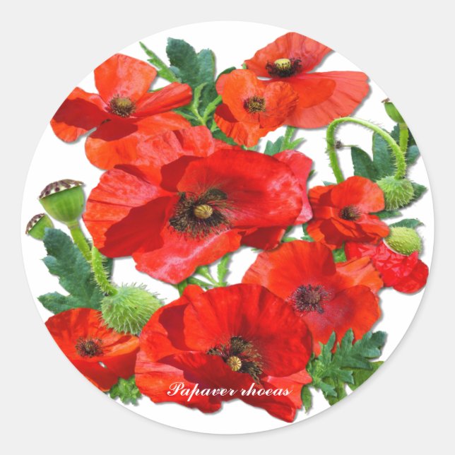 WILD RED POPPY RUNDER AUFKLEBER (Vorderseite)