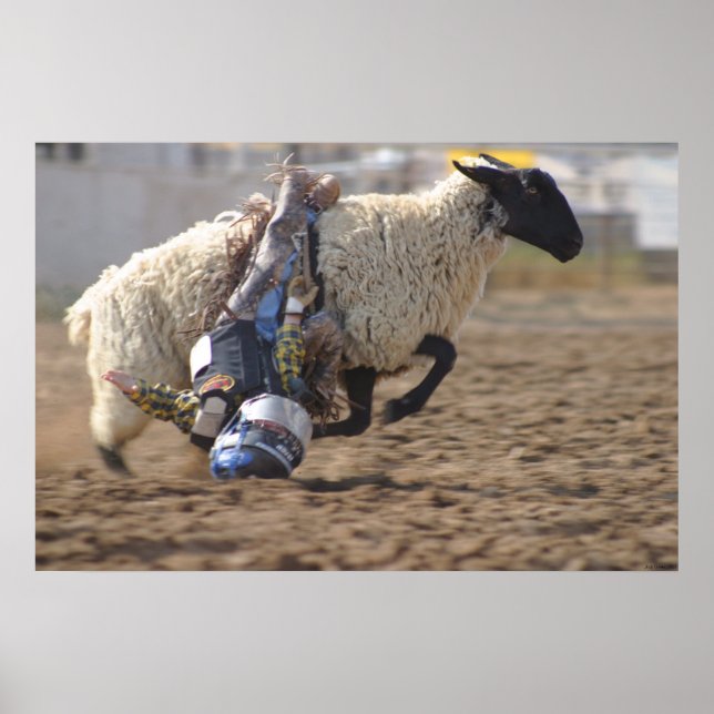 Wild Ride Poster (Vorne)