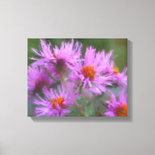 Wild rosa Asters Blume Art Leinwanddruck