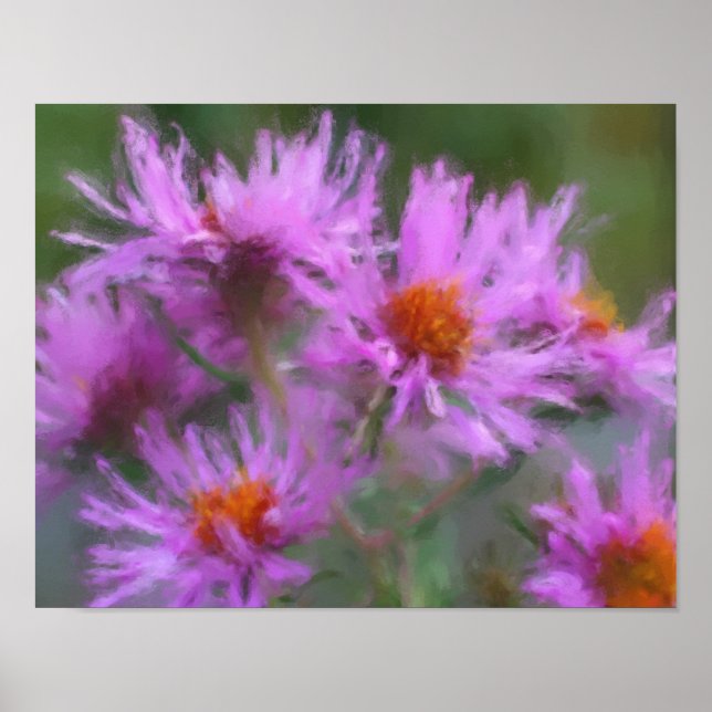 Wild rosa Asters Blume Art Poster (Vorne)