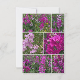 Wild rosa Pea Collage Mitteilungskarte