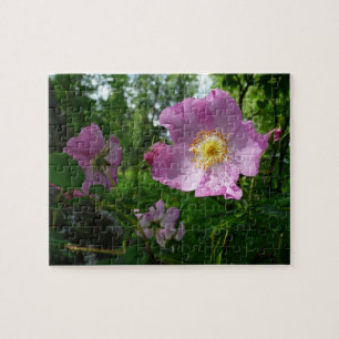 Wild rosa Rosen in Alaska Puzzle