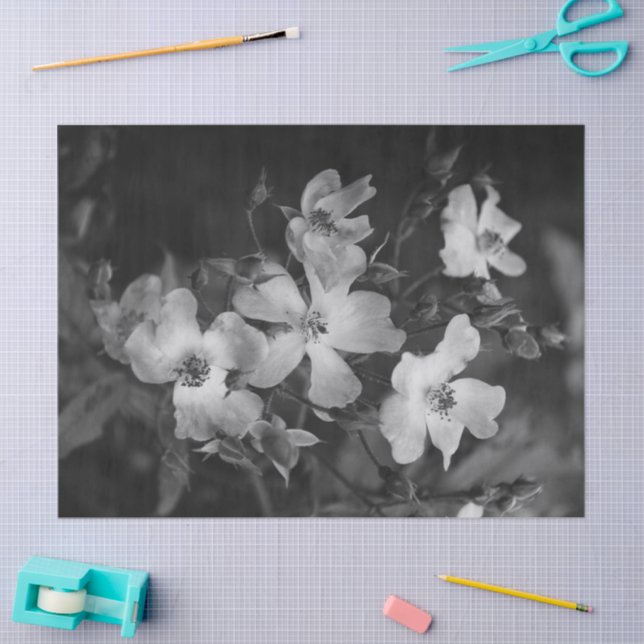 Wild roses  seidenpapier (Basteln)