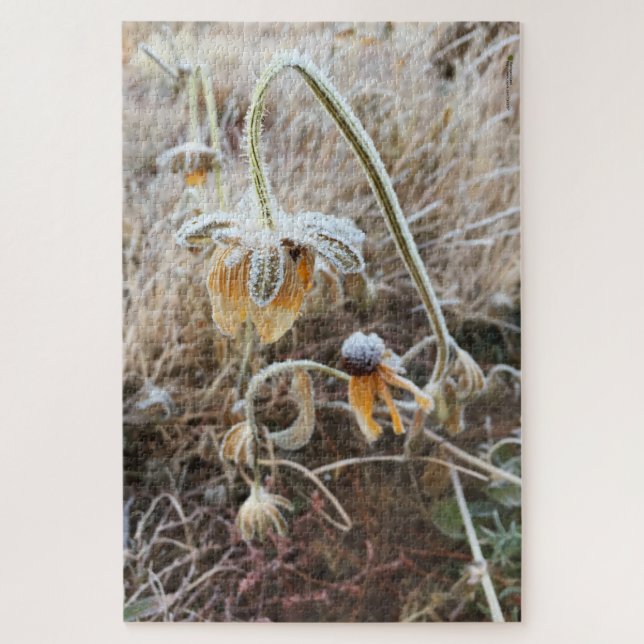 Wild Rudbeckia Blume Morning Frost Foto Puzzle (Vertikal)