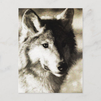 Wild Series 19 Postkarte