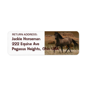 Wild SPANISH MUSTANG HORSE Rücksendeadressen-Aufkl