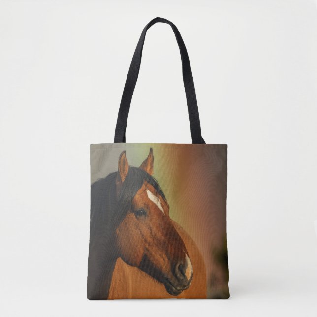 Wild Stallion, Golden Light and Rainbow (Vorderseite)