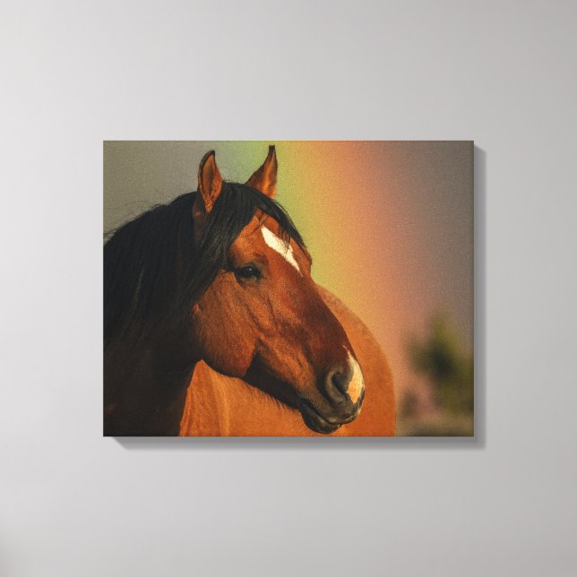 Wild Stallion, Golden Light and Rainbow Leinwanddruck (Vorderseite)