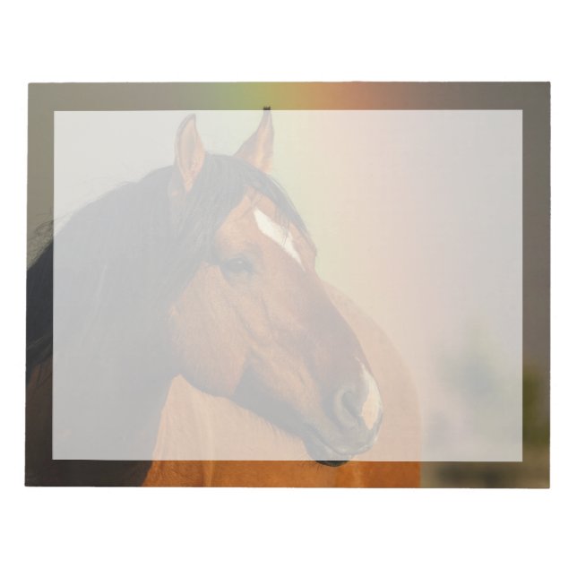 Wild Stallion, Golden Light and Rainbow Notizblock (Vorderseite)